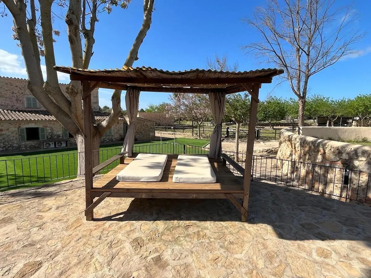 Cream Homes Son Celles, Etv3533 Sencelles Spanien